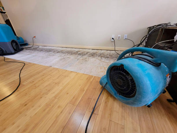 Professional Sewage Cleanup technician working in Coos Bay, OR